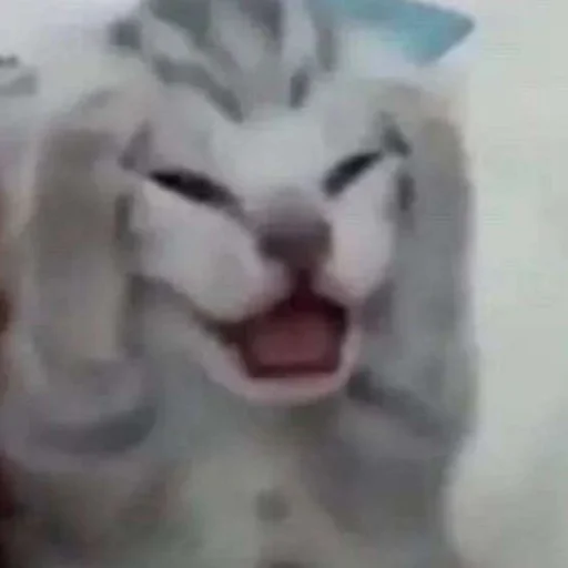 Sticker Zaxaditevchatil - 1