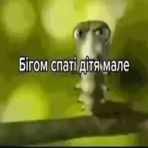 Стикер Zaxaditevchatil - 1