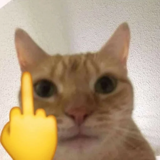 Стикер Zaxaditevchatil - 1