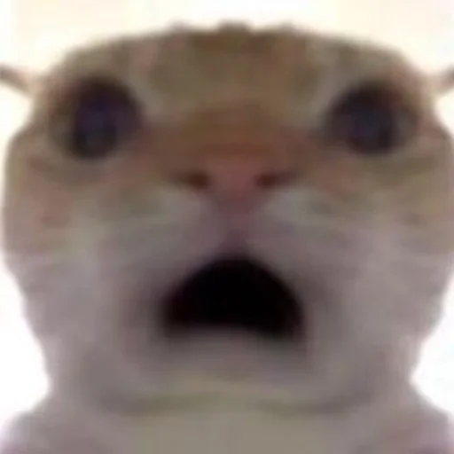 Стикер Zaxaditevchatil - 1