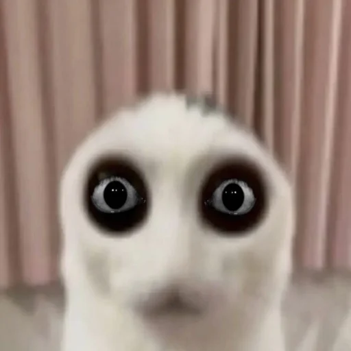 Sticker Zaxaditevchatil - 1