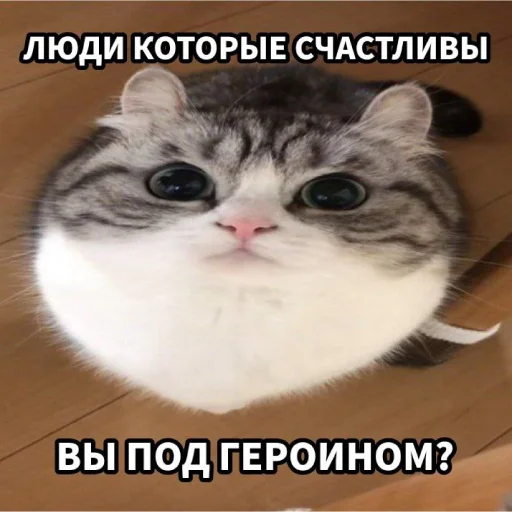 Sticker Zaxaditevchatil - 1