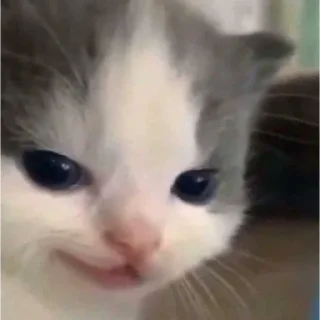 Sticker 😜 @quotess13 - 7