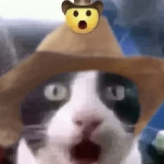 Sticker 😜 @quotess13 - 4