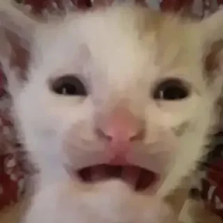 Sticker 😜 @quotess13 - 2