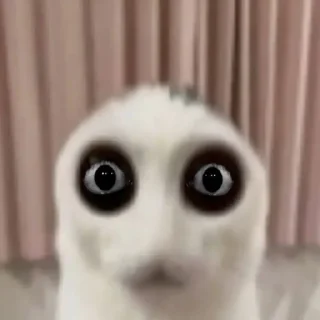 Sticker 😜 @quotess13 - 11