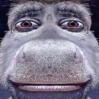 Sticker 😜 @quotess13 - 5