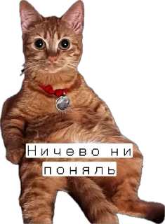 Sticker Мемозай - 3