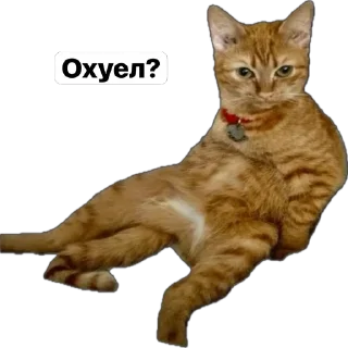 Sticker Мемозай - 7