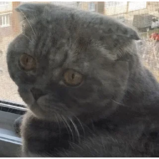 Стикер Заюн-мазаюн | @m1khailbr_stickerbot - 2