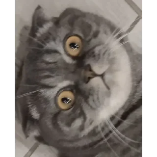 Стикер Заюн-мазаюн | @m1khailbr_stickerbot - 1