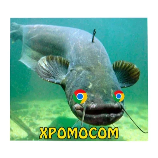 Стикер Zazddg - 1