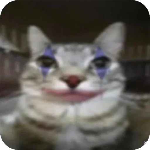 Sticker ZazuCat9 - 1