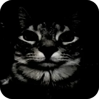 Стикер Zazu by @mrduwg - 9