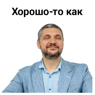 Sticker Забайкалье, Путин, Осипов, Важные дядьки и Щеглова - 10