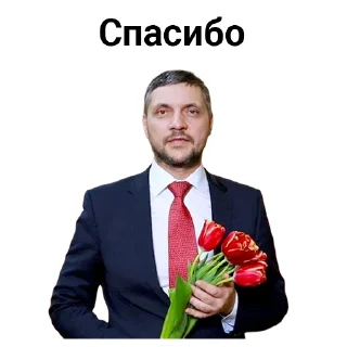 Sticker Забайкалье, Путин, Осипов, Важные дядьки и Щеглова - 4