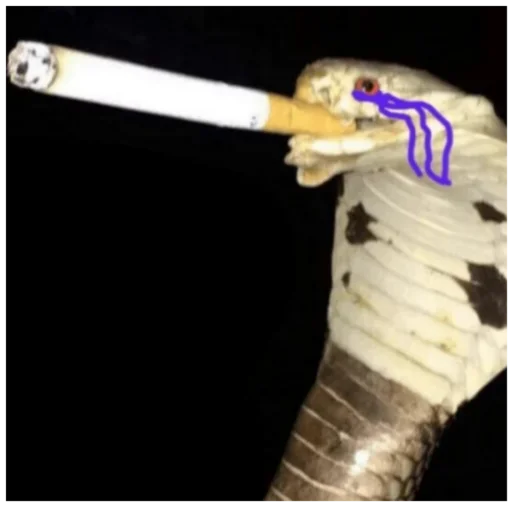 Sticker Журба побратимів - 8