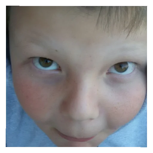 Sticker ZdorovoZhit1 - 1