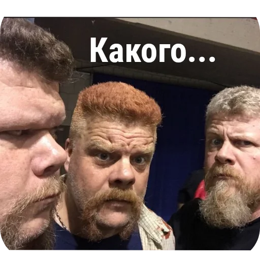 Sticker ZeVolkingDehd2STIKERPUK - 1