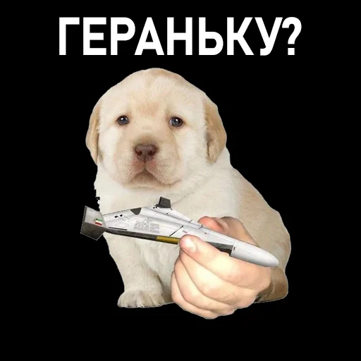 Sticker Zelya_Huylo - 1