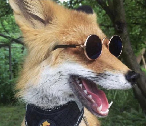 Стикер ZenYut - 1