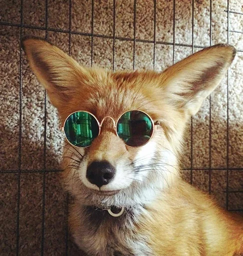 Стикер ZenYut - 1