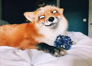 Стикер Zen'Yut Expressions - 9