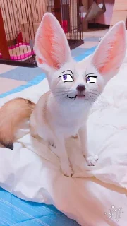 Стикер Zen'Yut Expressions - 7