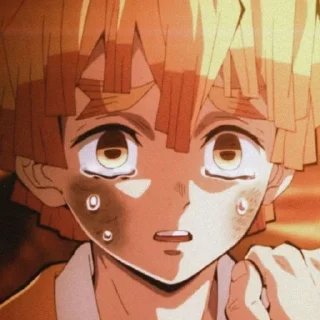 Стикер Зеницу - 2