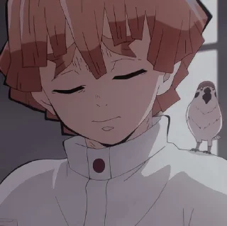 Стикер Зеницу Агацума⚡ (@knybotkrd) @pinterest_to_stickerbot - 0