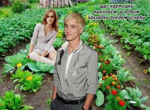 одежда Человек сад