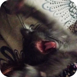 Стикер Зевс - 5