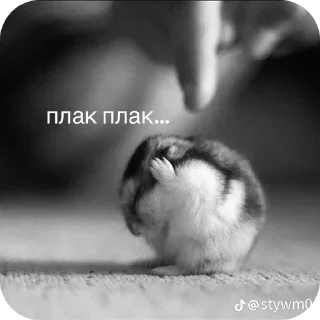 Стикер Зевс - 10