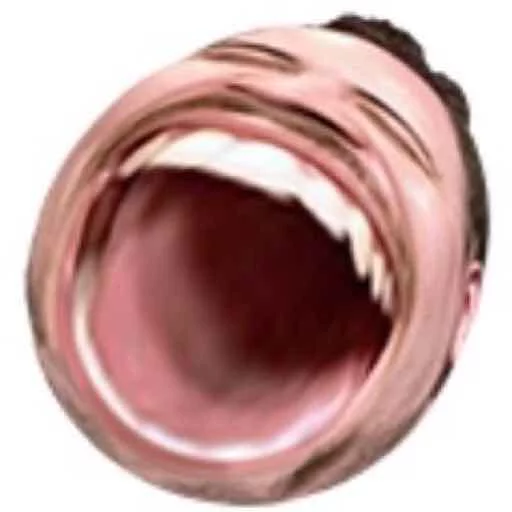 Sticker Zhepizdec - 0