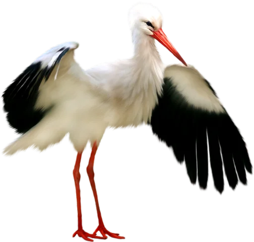 Стикер Пиратская бухта дяди Вити? - 6