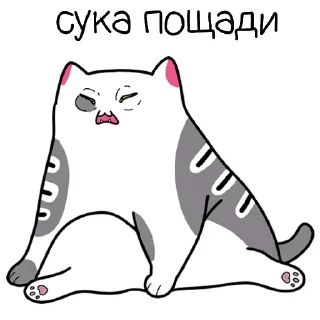 Sticker Sequel @stickersb2b - 9