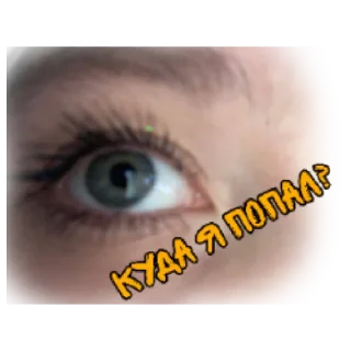 Sticker живая пися❤️ - 3