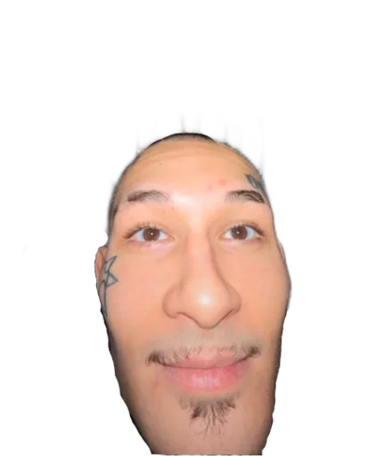 human face forehead cheek