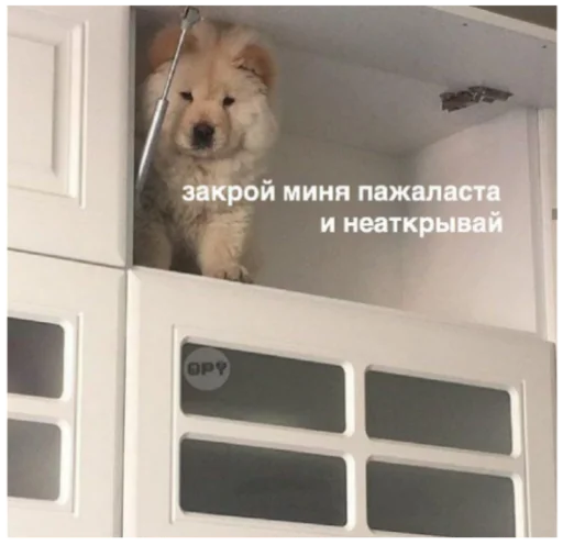 Стикер Жиза жизненная - 11