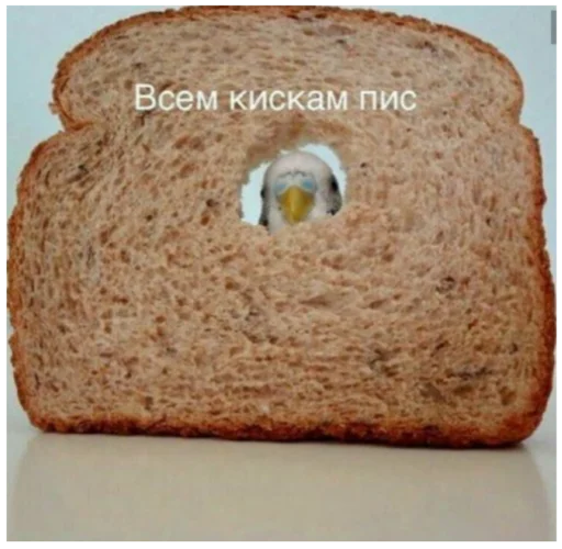 Стикер Жиза жизненная - 10