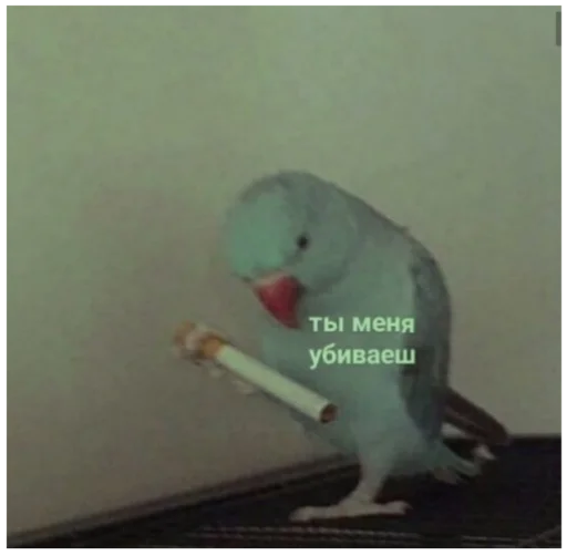 Стикер Жиза жизненная - 6