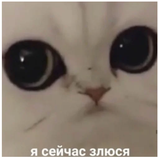 Стикер Жиза жизненная - 5