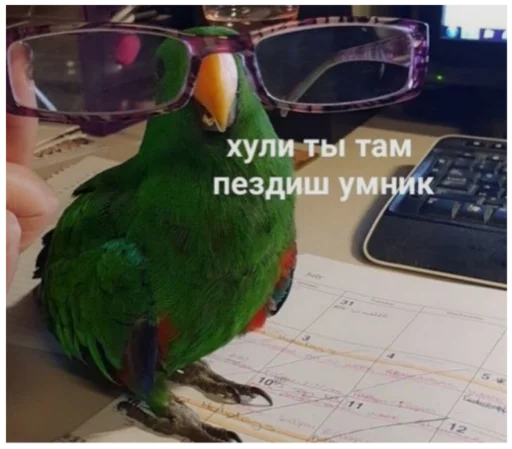 Стикер Жиза жизненная - 4