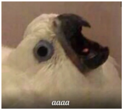 Стикер Жиза жизненная - 1