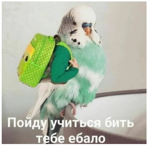 Стикер Жиза жизненная - 0