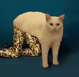 Sticker жиза - 2