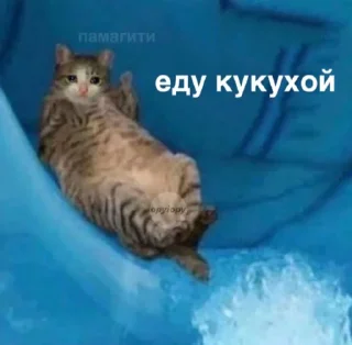 Sticker жиза - 5