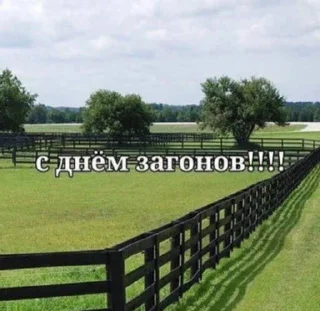 Sticker жиза - 4