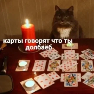 Стикер Жизяка🥲 - 3