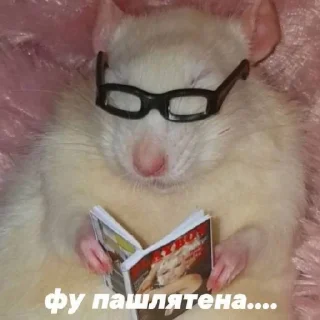 Стикер Жизяка🥲 - 9